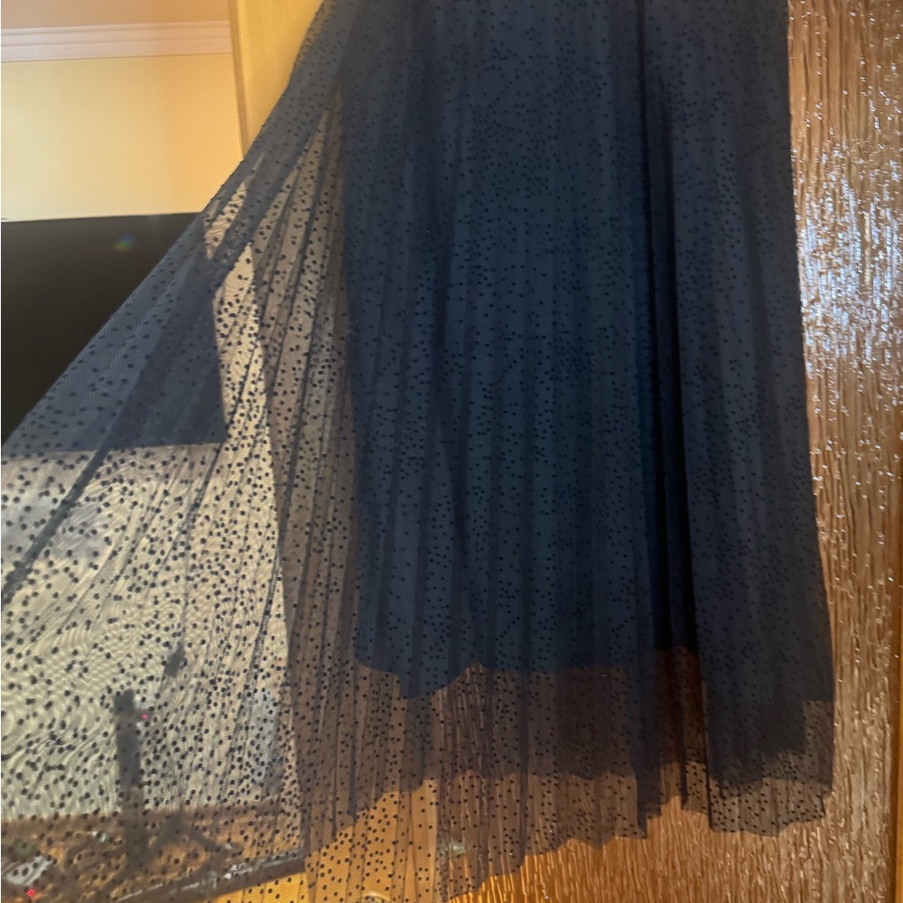 Zara Black Midi Skirt